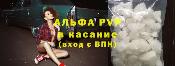 эйфоретик Баксан