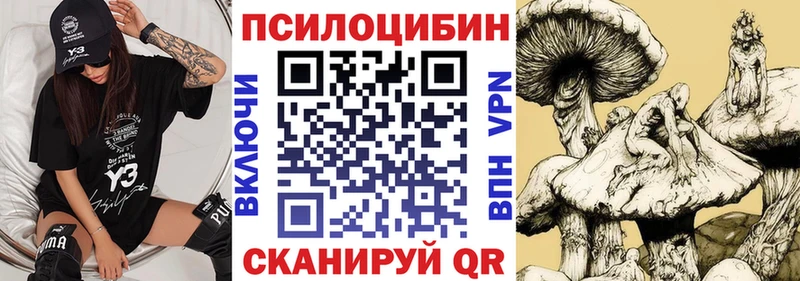 это клад  где продают   Шахты  Псилоцибиновые грибы Psilocybine cubensis 
